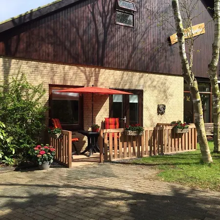 De Vier Berken 2 Bed & Breakfast
